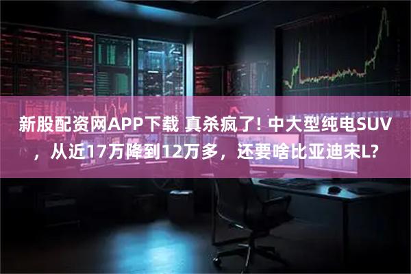 新股配资网APP下载 真杀疯了! 中大型纯电SUV，从近17万降到12万多，还要啥比亚迪宋L?