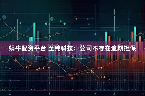 蜗牛配资平台 至纯科技：公司不存在逾期担保